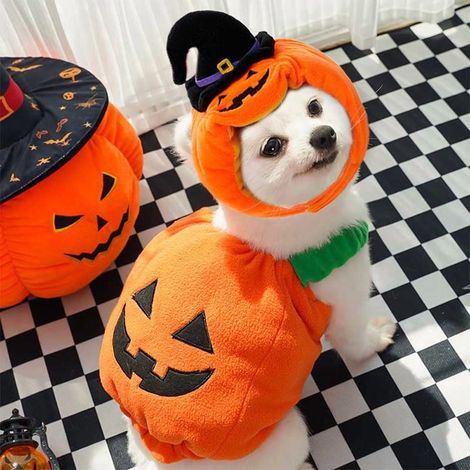 Costume Chat - Pour Chien - Polyester - Ajustable - Pour Fêtes Halloween Noël - 50 cm - 1 Pièce (1/5)