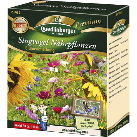Quedlinburger Saatgut – Mélange de fleurs « FS Singvogel Nährpflanzen » – Graines de fleurs, plantes nourricières pour oiseaux chanteurs (1/2)