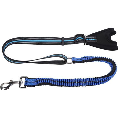 Reflektierender Sicherheitsgurt für Haustiere, Hundeleine zum Spazierengehen, reflektierender Trainingsgurt aus Nylon mit Verlustschutz (blau, Größe M) (1/5)