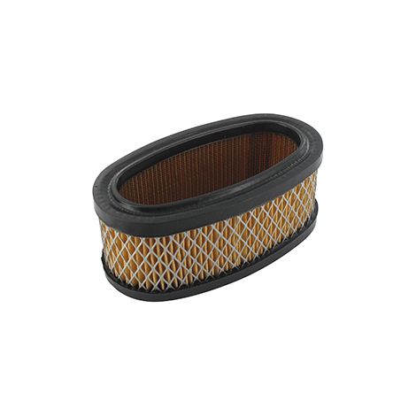 Filtro Air BRIGGS et STRATTON 393406