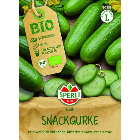 Sperli Snackgurke Iznik - Saatgut für 5 Pflanzen