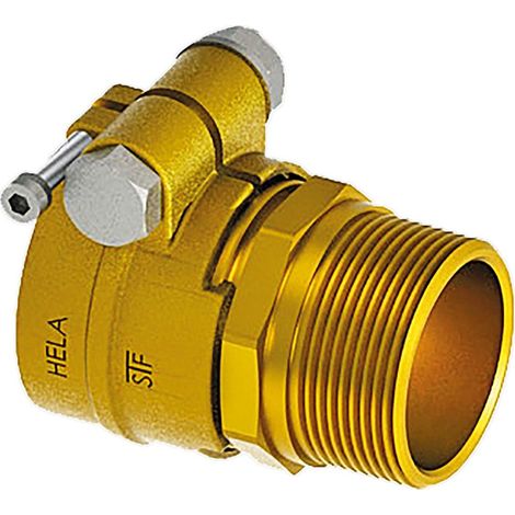 AS AustroPEX WPP Accesorios Transición de compresión PEX 32 - 1'' AG PN6