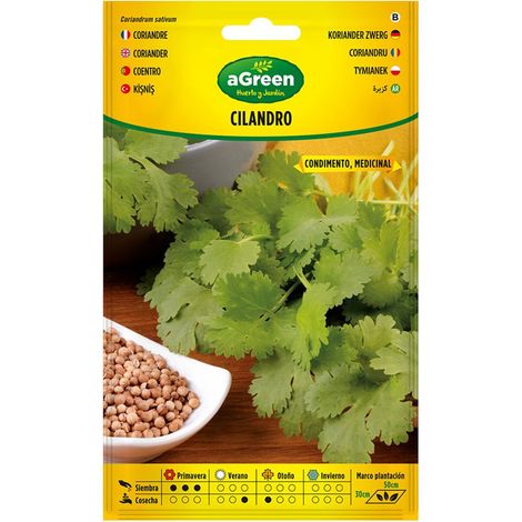 Beutel mit Koriandersamen Coriandrum Sativum 301015BOLSH Agreen
