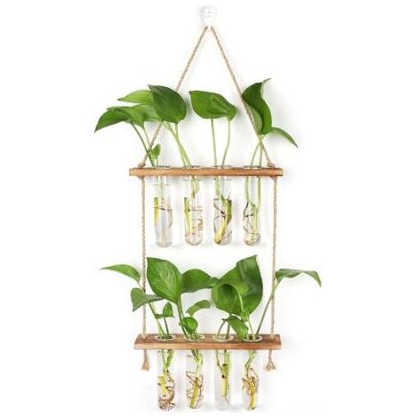 Pair - Station de Propagation avec Support en Bois Vase Mural,Verre Suspendu pour Plantes Hydroponiques (1/4)