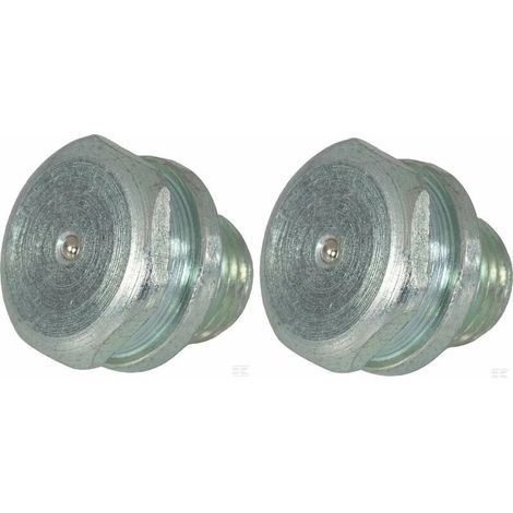 – Lot de 2 graisseurs G1/8 avec tête 16mm – Pour graissage de pompes à graisse manuelles – Compatible tracteurs et engins agricoles