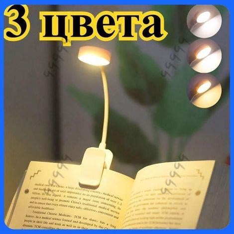 Beyamis Lampe pince col cygne - Rechargeable blanc chaud USB (1/5)