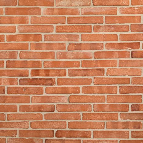Brique de parement terre cuite 20x5x2,5 cm – Vendu par boîte de 0,6 m² – Colle Sopro 776 recommandée – Joint Sopro TNF conseillé (1/5)