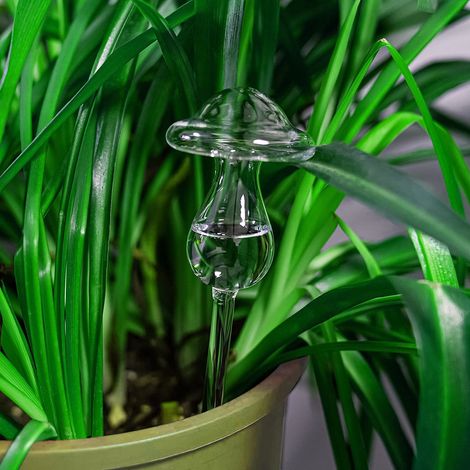 Arrosoir En Verre Forme De Champignon - Capacité Élevée - Pour Jardin Balcon Terrasse Cour Intérieure - 1 Pièce (1/5)