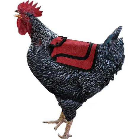 2 Pièces Harnais, protection dos et ailes, toile coton 400g/m², fixation plumes, pour coq et poule (1/5)
