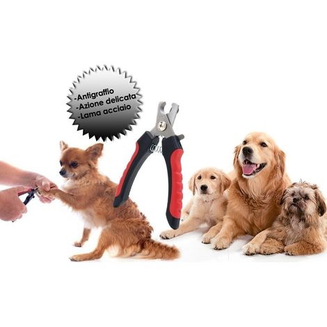 Ciseaux à griffes en acier inoxydable pour chiens, chats et chiots