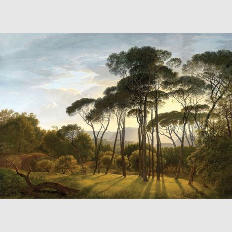 Papier peint intissé - Savannah View - 375x270 cm (1/3)