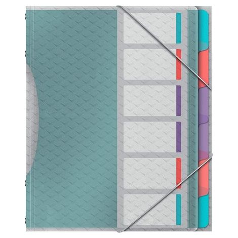 Esselte de la couleur du tri?ice 6 sÉparateurs 266x320x20 mm polypropylÈne couleurs assorties (1/5)