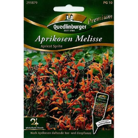 Quedlinburger Aprikosen Melisse Apricot Sprite - Premium Blumensamen (1/2)