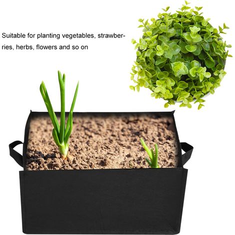 sacs de plantation carrés non tissés pour fraisiers (1/4)