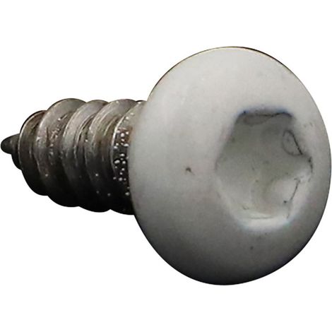 Vis tôle tête cylindrique bombée large 4.2X13 Inox A2 TORX T20 RAL9010 blanc pur-200 pièces