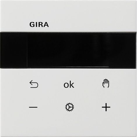 Gira S3000 RTR Display Interruptor de superficie Blanco puro [5393112], 5393 112