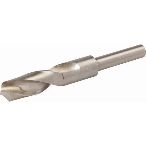 FORET À QUEUE RÉDUITE 20 MM SILVERLINE 675064 (1/3)