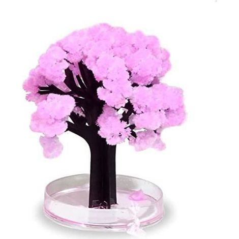 MAGIC SAKURA TREE, ARBRE AƒA FLEURS DE CERISIER 2000001