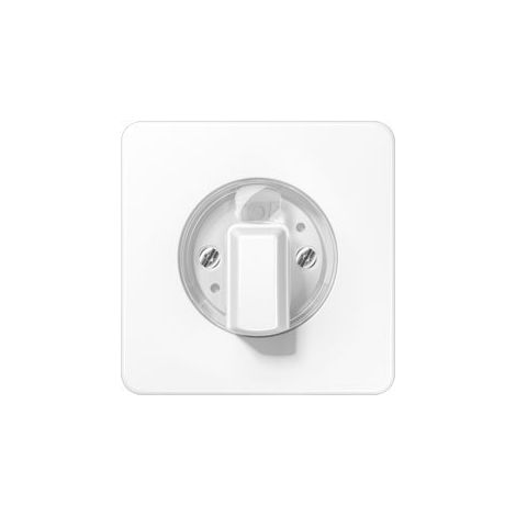Jung Cache pour interrupteur rotatif 1x, Duroplast, série CD, blanc alpin CD 1541 WW