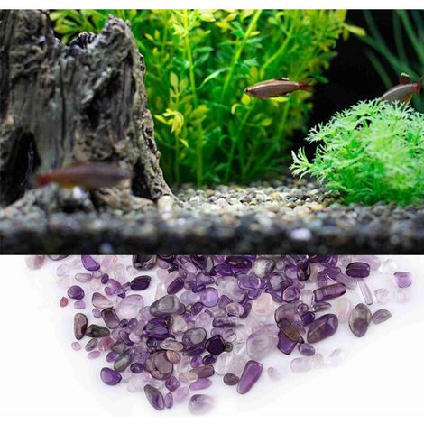 UlisemSchegge di pietra lucidate, pezzi di quarzo naturale frantumato (viola) (1/4)