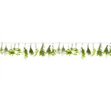 Küchenrückwand WandArt easy 120 x 58,5 cm, 3 mm, herbs line Spritzschutz (1/3)