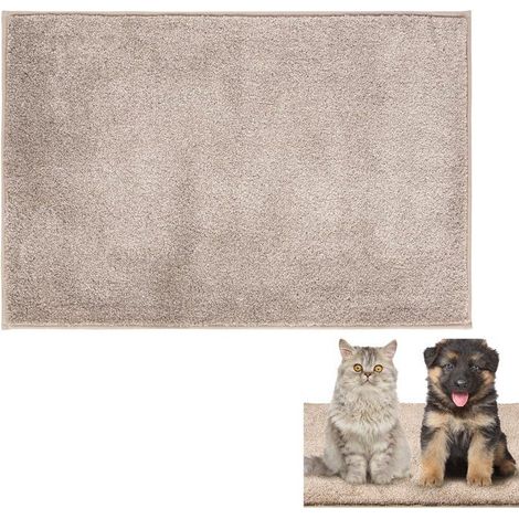 Tapis de porte - 60 x 90 cm - Tapis anti-poussière antidérapant - Tapis de bain - Convient pour l'entrée - Polyester (1/5)