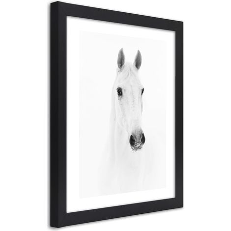 Quadro con cornice, Cavallo grigio - 30x45 (1/5)