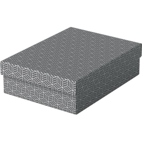 Esselte geometrische Aufbewahrungsboxen aus Karton (1/3)
