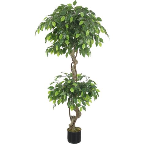 150cm Artificial Twisted Ficus Tree