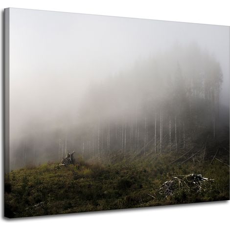 Leinwanddruck Natur Nebel im Wald 100x80 cm