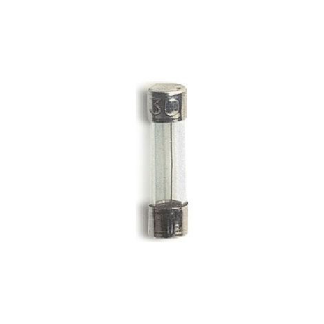 Fusibile 5×20 F 10A rapido WIM5000022 per apparecchi domestici comuni