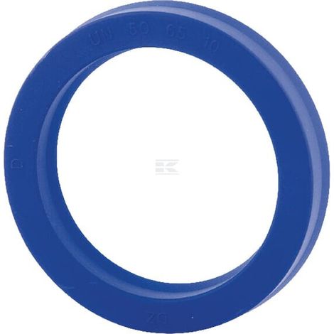 Dichtungsring RI.MA 3025670988