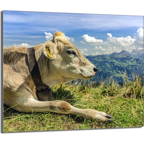 Plaque de protection en verre pour poêle 60x52 Vache (1/5)
