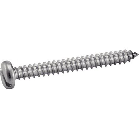 Vis à tole tête cylindrique large fendue - Inox A2 6,3x50 mm - Boîte de 200 (1/3)