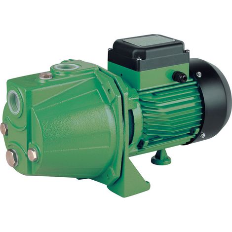 Selbstansaugende elektrische Kreiselpumpe aus Gusseisen (1/2)