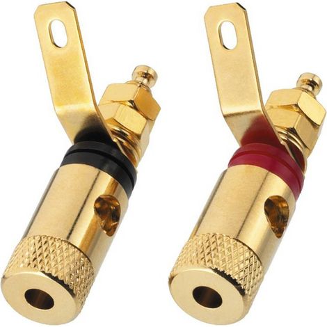 Monacor Borne LS BP-260G 1 paire(s) (1/2)