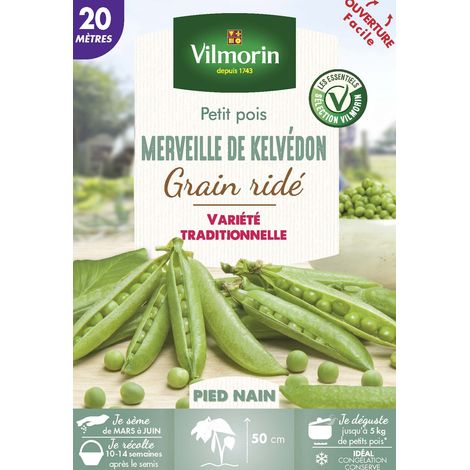 Vilmorin Pois Nain à Grain Ridé Merveille de Kelvedon - 20 m (1/2)