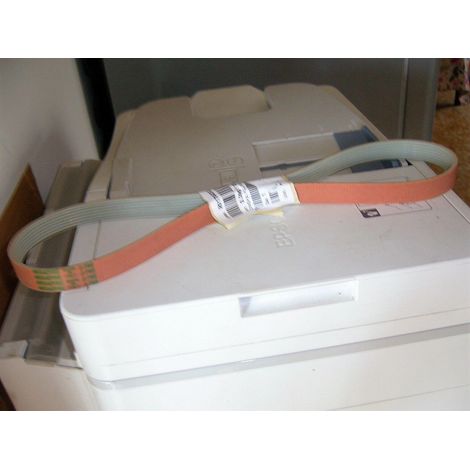CINGHIA POLY PJ762 PJ 762 LAVASCIUGA LAVAPAVIMENTI LAVORWASH 3.099.1394