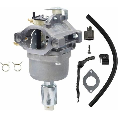 Carburador para motor de tractor cortacésped Briggs&Stratton 799727 698620 (1/5)