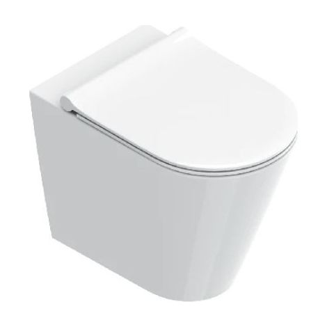 Wc Zero Filomuro 55x35 cm Silentech Traslato Bianco Lucido