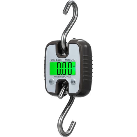 Balance Crochet Électronique Mini 300kg Portable Résistante Industrielle avec Écran LCD Modèle C102
