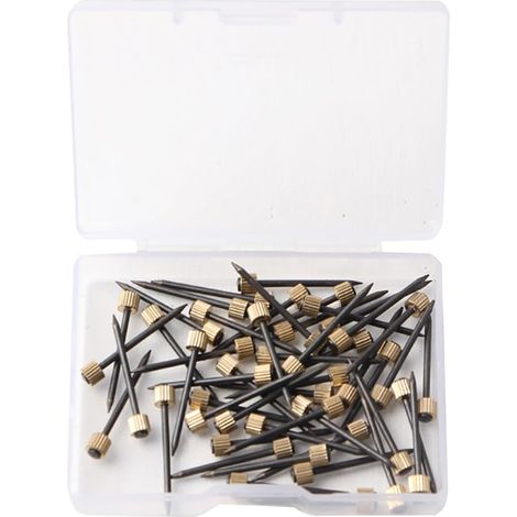 Lot de 100 clous à suspendre pour cadre photo - Décoration murale - Avec boîte de rangement (1/5)