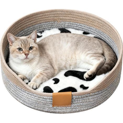 Lit pour chat avec coussin, lavable, panier pour chat, en cordes de coton, panier pour dormir, diamètre : 38 cm, hauteur : 13 cm, panier pour animal domestique, panier pour chat, panier tressé (1/5)
