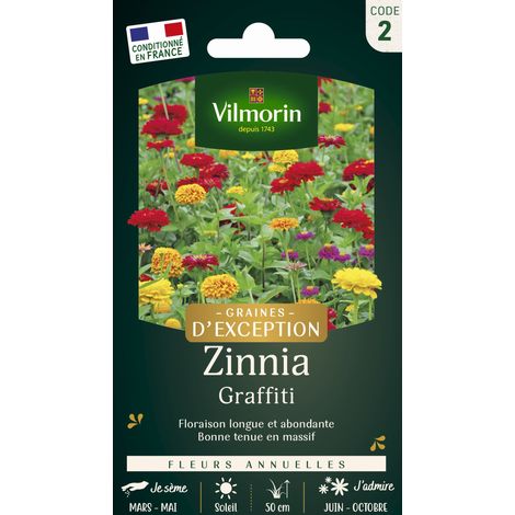 Vilmorin - Zinnia Graffiti (1/2)