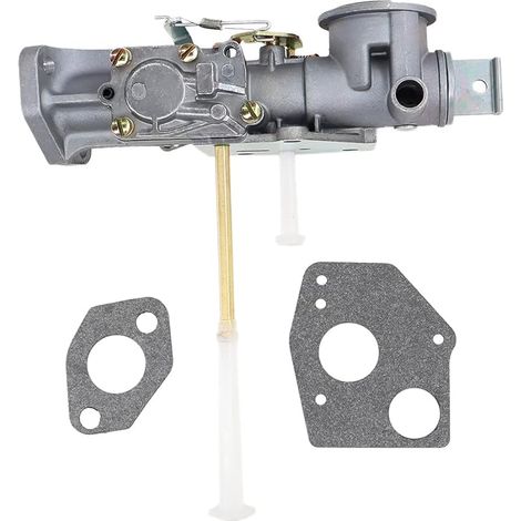 Carburateur & Joint pour Briggs & Stratton 498298 692784 495951 495426 692784 492611 490533 Série 5hp Moteurs 112202 112212 112231 112232 112252 133202 133212 133232 134202 135202 (1/5)