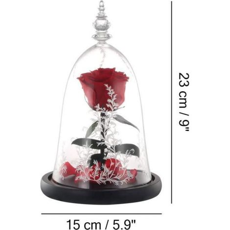 Rose éternelle La Belle et la Bête rouge sous dôme en verre borosilicate avec lumières LED, objet décoratif pour décoration intérieure