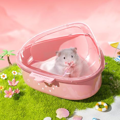 Bac à sable pour hamster avec pelle pour chinchilla, ours dorés, gerbille, taille L (1/5)