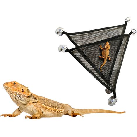 Hammock for lizards and reptiles