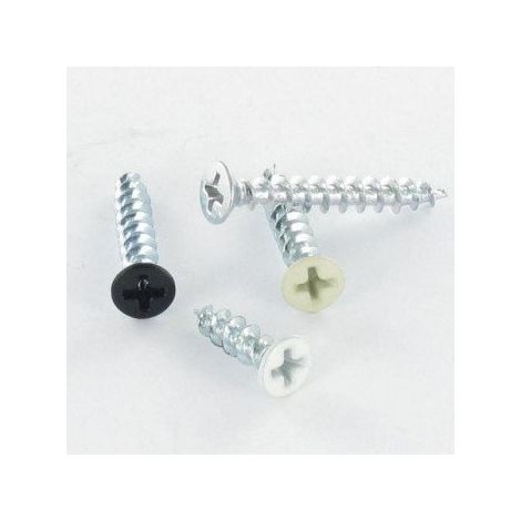 Vis PVC Inox A2 Tête fraisée bombée TFB Phillips 4.2X25 Laqué noir RAL9005 noir foncé-1 pièce (1/2)