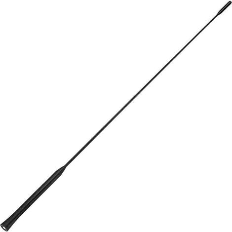 55 CM Antenne Toit Am/FM Autoradio Stéréo Compatible avec pour Ford Focus 2000-2007 (1/5)